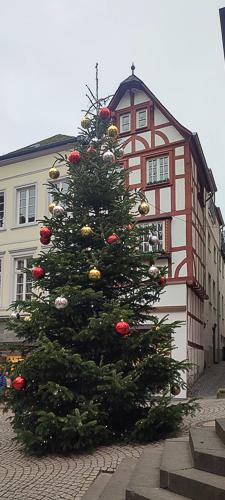 Bernkastel kues 2025