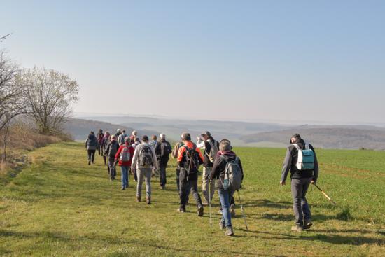 Marche à la journée à Sain-Walfroy