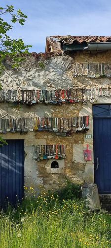Vent des fore ts pg 2025